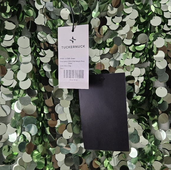 Tuckernuck Mint Roxy Sequin dress - Picture 4 of 6